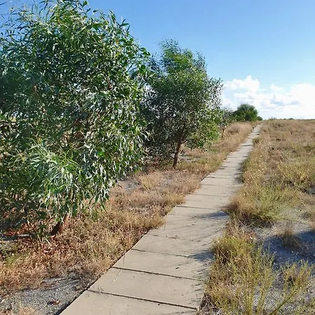 Nyaraló Vista Mare Su Tre Piani Con Giardino Falerna