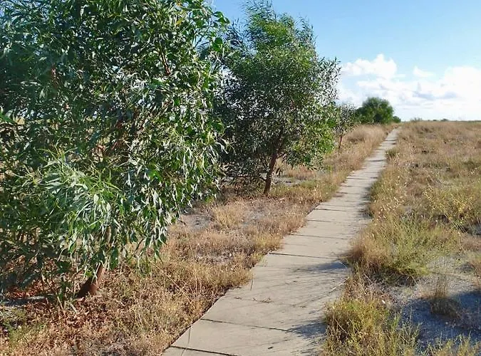 Casa vacanze Vista Mare Su Tre Piani Con Giardino Falerna